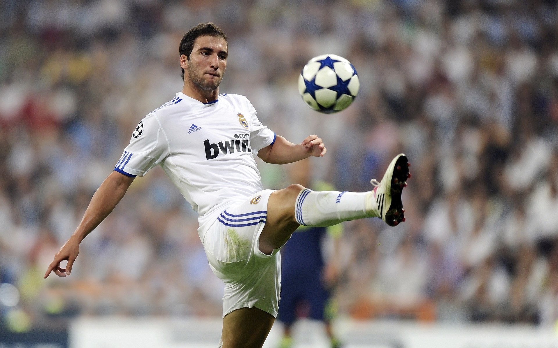 勇士内部演练中模拟季后赛压力环境，勇士现场